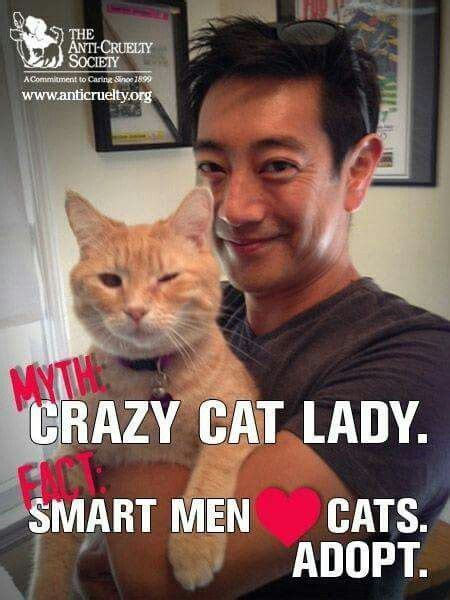 Crazy Cat Man Men With Cats Crazy Cats Crazy Cat Man