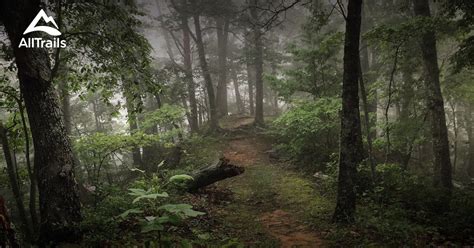 You cannot leave jenny wiley state resort park without hiking at least one of the trails. Best Trails in Jenny Wiley State Resort Park - Kentucky ...