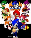 Sonic the Fighters (2012) | Sonic Wiki Zone | Fandom