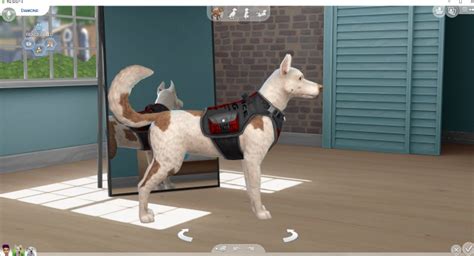 Recent Service Dog Vest By Dayh111 By Mod The Sims Lana Cc Finds
