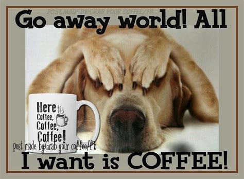 Pin By Nadine Maley On Dogs And Cats Good Morning Coffee Coffee Humor I Love Coffee