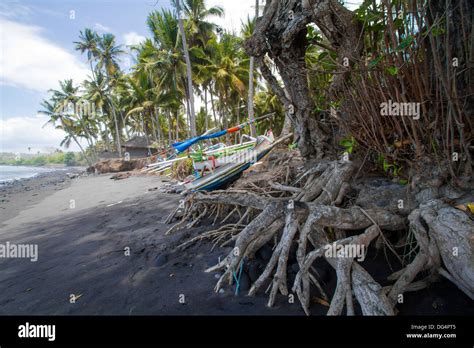 Indonesian Coastlinebali Islandocean Landscape Stock Photo Alamy