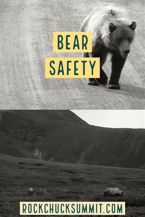 Staying Safe Around Bears What You Need To Know About Bear Safety