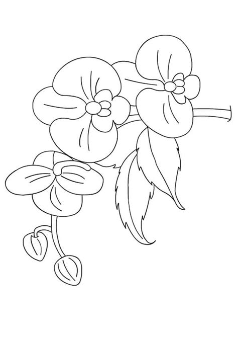 Our printable sheets for coloring in are ideal to brighten your family's day. Beautiful Printable Flowers Coloring Pages