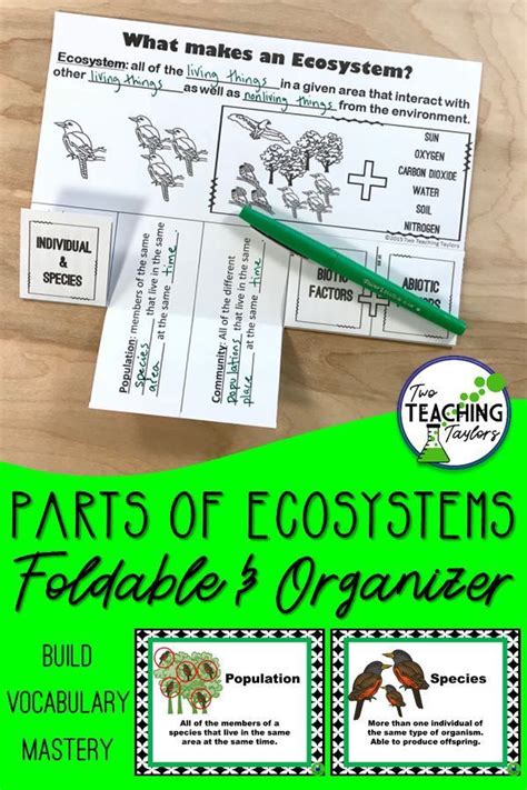 Use This Foldable For Teaching Ecosystem Vocabulary Great For