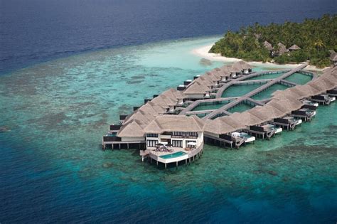 Top 10 House Reefs In Maldives Best Resorts For Snorkeling