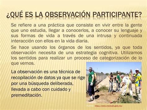 Ppt Observación Participante Powerpoint Presentation Free Download