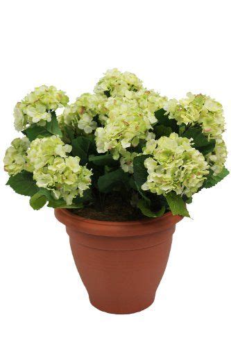 While it's easier than ever to buy live plants online, sometimes, despite our best intentions, those live plants become, well, dead plants. Artificial Green Hydrangea Flower Plant Bush Shrub in ...