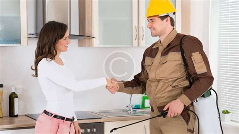 From general building, condo, and apartment inspections to pest control as well as facilities management, titans commercial makes it simple for owners to focus on what's most important. Fast Pest Removal - Pest Control