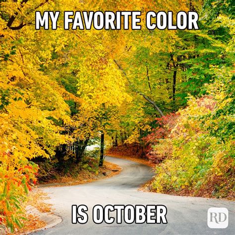 28 fall memes all autumn lovers relate to in 2022 reader s digest