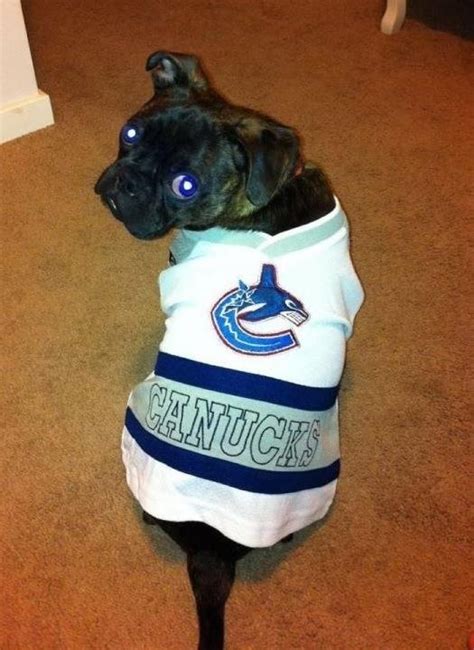 7 Best Images About Hockey Pets On Pinterest The Cup Bucky And Calgary