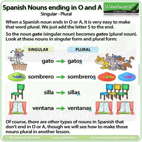 Spanish Nouns Ending In O And A Singular Or Plural Woodward Spanish Plurals Singular And