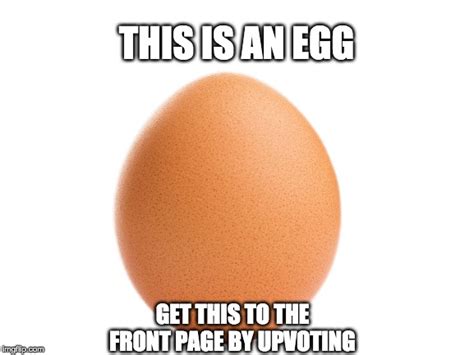 World Record Egg Imgflip