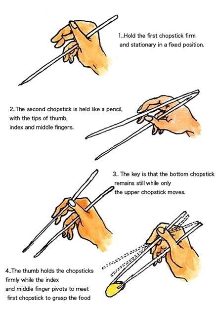 It can take a bit of practice to get comfortable using chopsticks to eat. Business Etiquette 101: The Ultimate Guide to Surviving ...