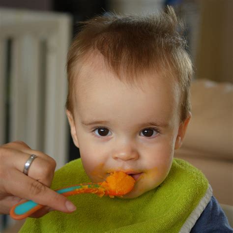 3 Things You Need To Know About Baby Food Pouches