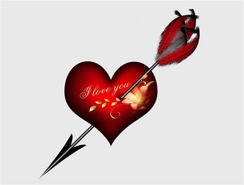 I Love You Heart And Arrow Digital Art By Ronel Broderick Pixels