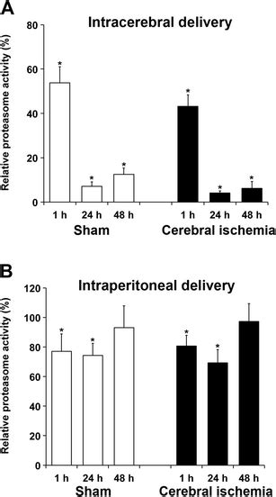 Systemic Bsc2118 Delivery Does Not Influence Cerebral Proteasome