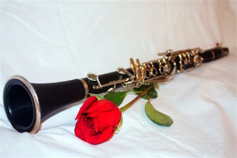 Items Similar To Red Rose Clarinet Music Photo On Etsy