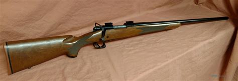Winchester Model 70 Sporter Varmin For Sale At