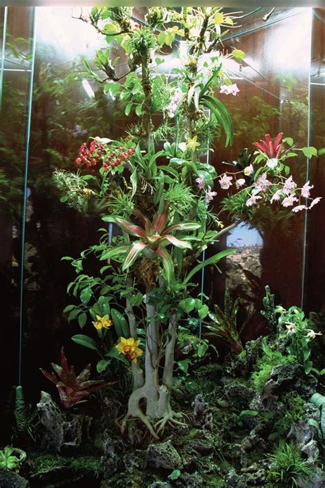 Terraria or terrariums) is usually a sealable glass container containing soil and plants, and can be opened for maintenance to access the plants inside. DIY Terrarium Misting System | Terrarium diy, Fountains ...