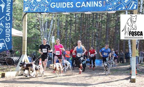 Guides Canins Printemps 2017 — Fédération québécoise des sports canins ...