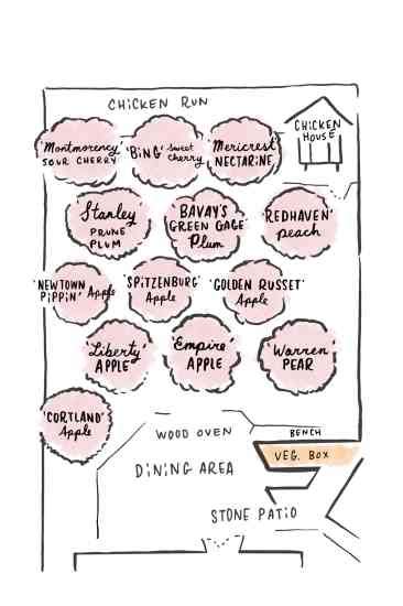 See more ideas about fruit trees, growing fruit trees, fruit garden. Fruit Orchard Design for Small Spaces - Organic Gardening ...