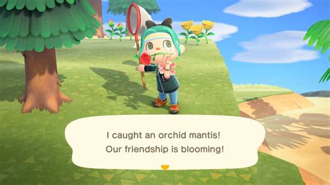 Animal Crossing New Horizons — Bug Catching Guide Imore