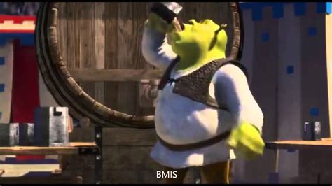 Shrek Fiona Fight Scene