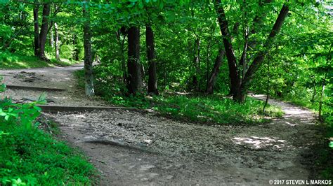 Theodore Roosevelt Island Swamp Trail