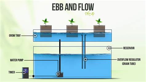 How To Make A Diy Ebb And Flow Hydroponic System 5 Steps