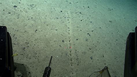 Scientists Spot Puzzling Unusually Perfect Holes On The Ocean Floor