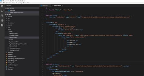 Asp Net Core Using Jquery Datatables Filtering Vscode