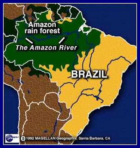 Map Showing Location Of Tropical Rainforests Tropical Rainforest The