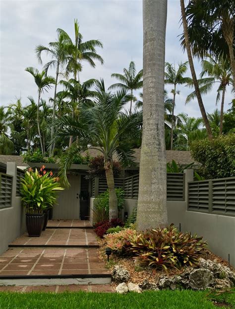 Spectacular Tropical Garden Front Entrance To A Modern Design Key West