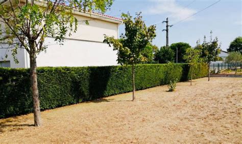 La sécurité d'un bâtiment répond à des normes spécifiques permettant une évacuation optimale en cas de coupure de courant. Tonte & entretien courant sur la région de Toulouse ...
