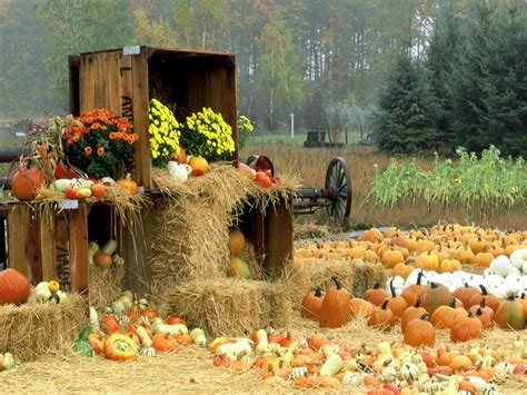 Harvest Season Farm Valley Fall Season Fall Desktop Backgrounds Photo