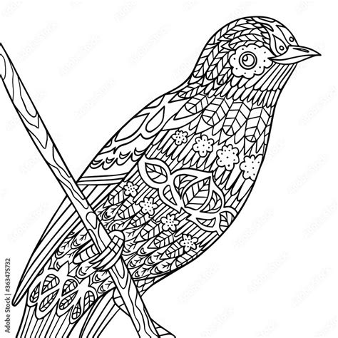 Funny Cartoon Bird Sits On Tree Branch Coloring Page Illustration
