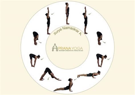 Surya Namaskar A Ashtanga Vinyasa Yoga Prana Yoga