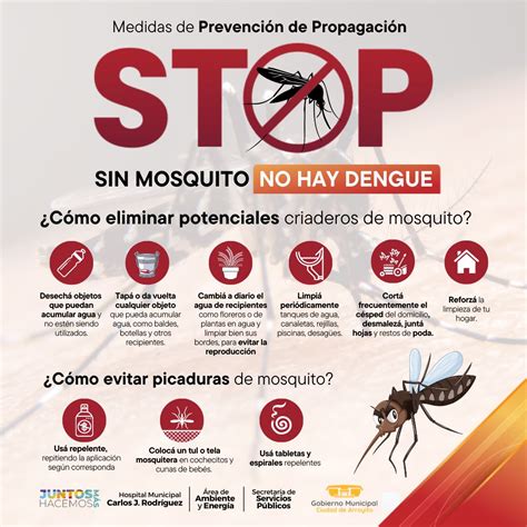 Medidas De Prevención Para Evitar Propagación Del Dengue