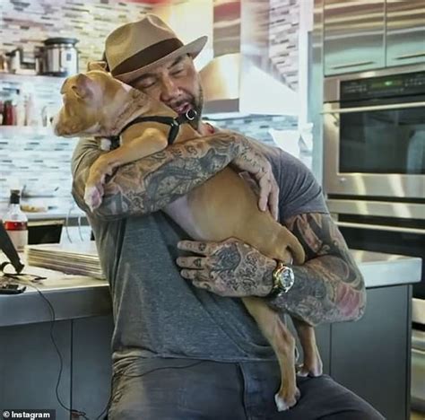 Dave Bautista Adopts An Abused Puppy And Offers A 5000 Reward To Find