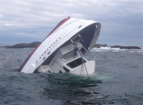 One Still Missing In Whale Watching Capsize Accident Nw News Network