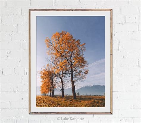 Orange Autumn Trees Landscape Nature Print By Luke Kanelov
