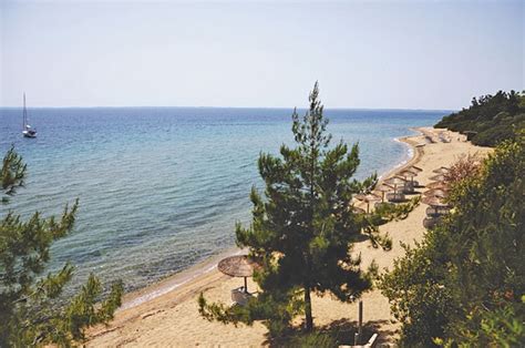 Boasting an outdoor pool, whirlpool and free high speed wifi. Glavas Inn in Chalkidiki, Griekenland - TUI Hotel 2020