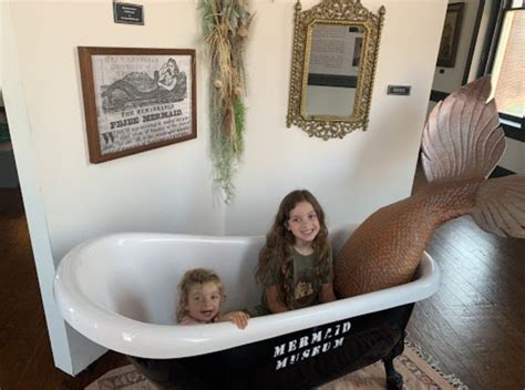 Mermaid Museum A Maryland Museum To Learn About Mermaids