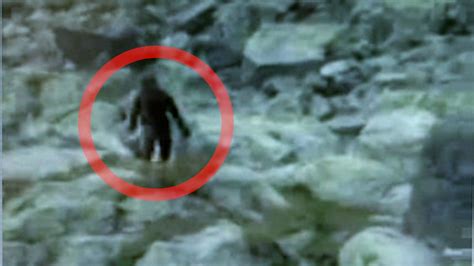 8 Most Notorious Bigfoot Sightings Of All Time Légende Urbaine Homme