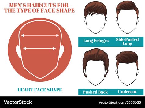 Heart Face Shape Royalty Free Vector Image Vectorstock