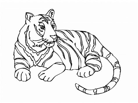 Tigre Da Stampare E Da Colorare Gratuitamente Disegni Da Colorare E