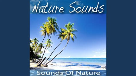Sounds Of Nature Youtube Music