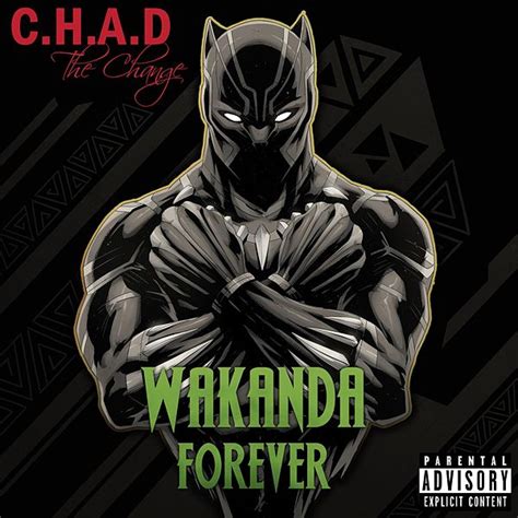 Black panther's stratospheric rise in popularity should lead to a video game. Black Panther Wakanda Forever - Adimerdeka.com