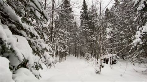 Snowshoeing Trails In Sault Ste Marie Youtube